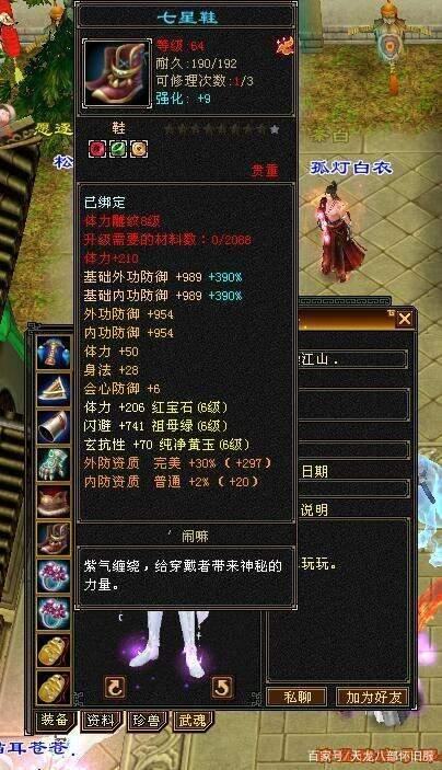 天龙八部怀旧服：全服唯一一个70级7级逍遥！插图10