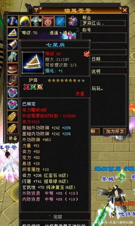 天龙八部怀旧服：全服唯一一个70级7级逍遥！插图6