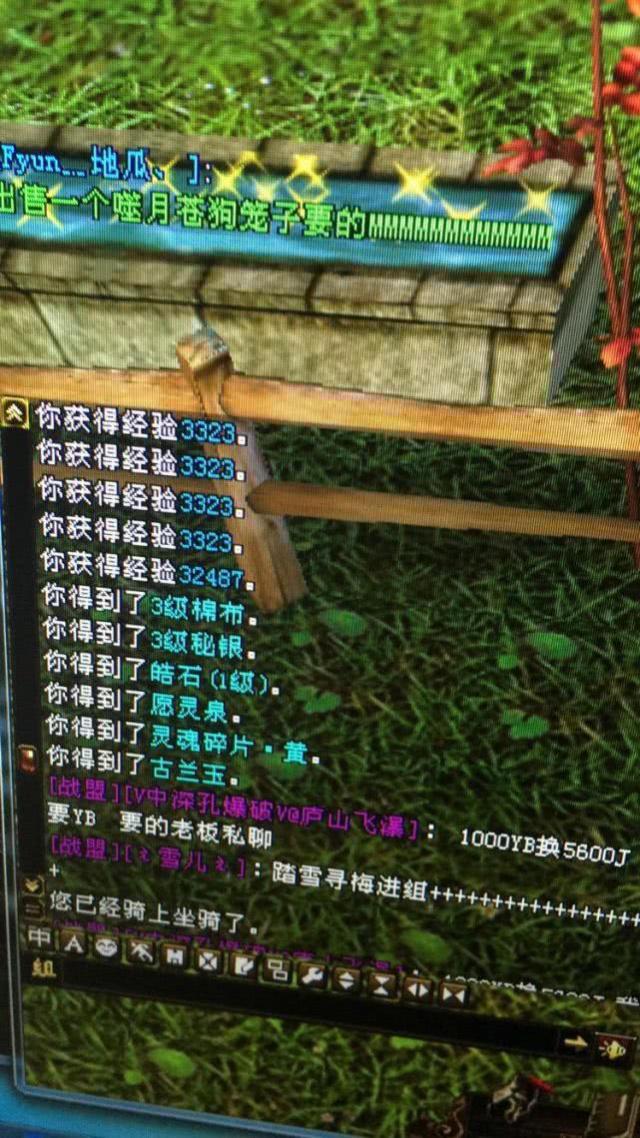 天龙八部：刷个反贼得3级棉布和3级秘银！运气真的太好了插图2