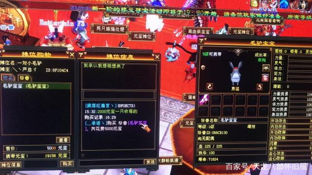 天龙八部怀旧服：5000元宝一只毛驴宝宝值不值？毛驴怎么得？插图1